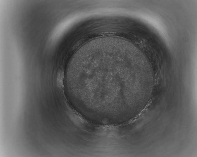 X0000112350146200908271240