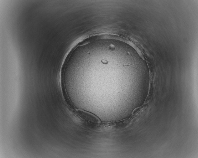 X0000112350148200908271240