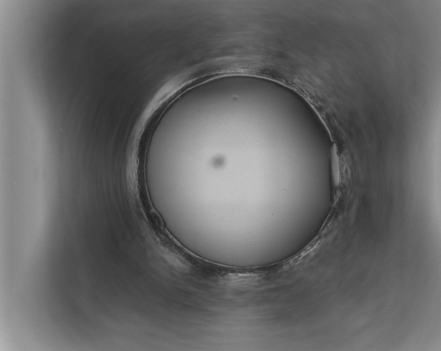 X0000112350150200908271240