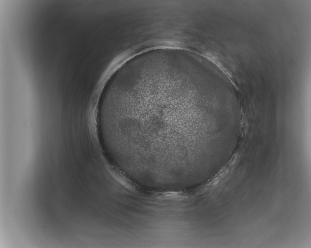 X0000112350151200908271240