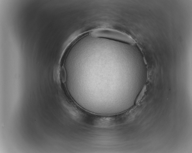 X0000112350152200908271240