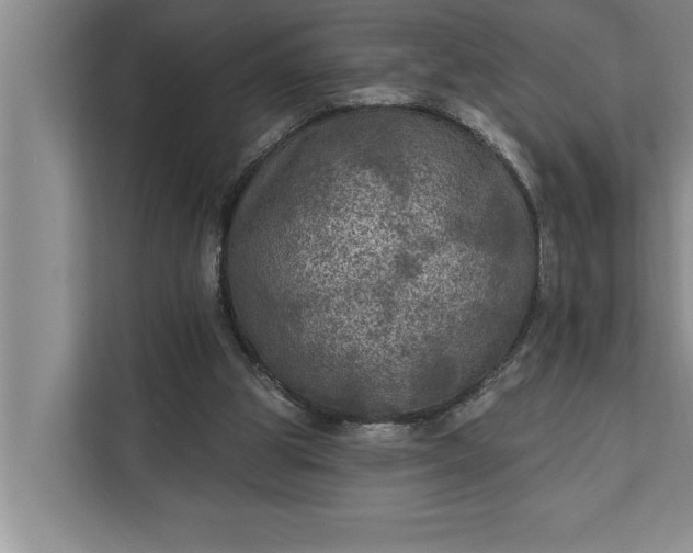 X0000112350153200908271240