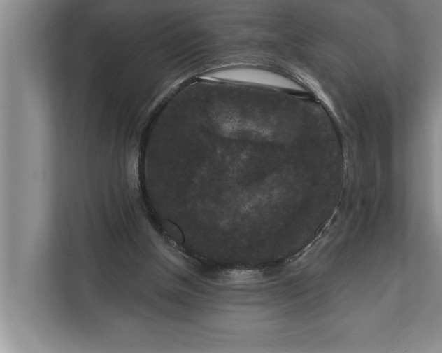 X0000112350154200908271240