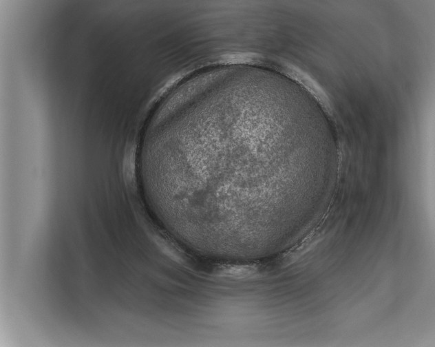 X0000112350155200908271240