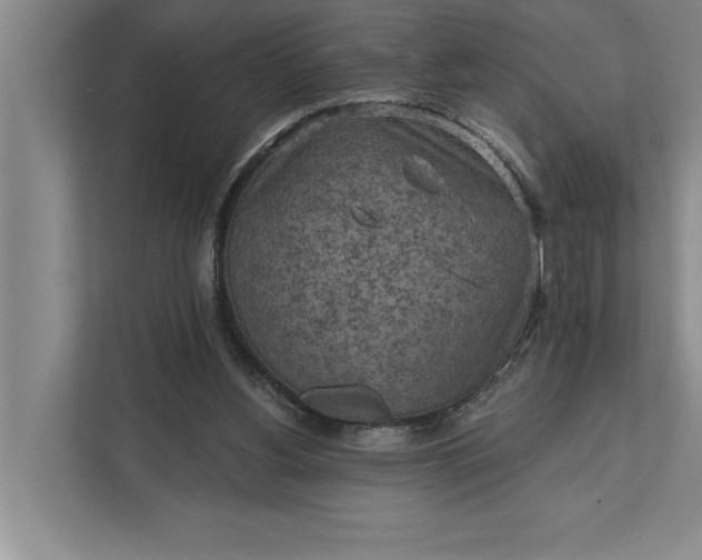 X0000112350156200908271240