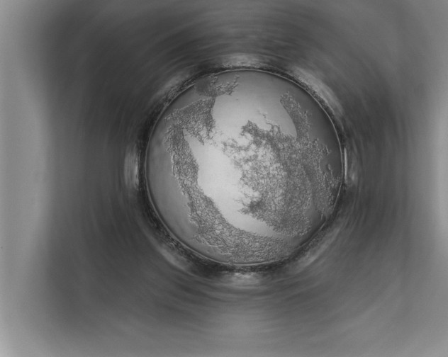 X0000112350157200908271240