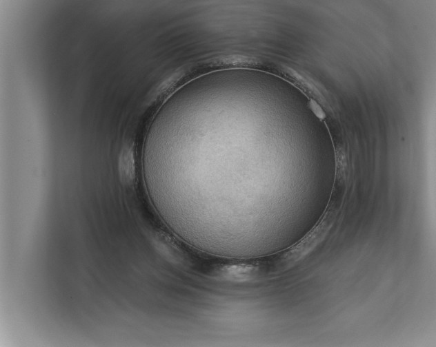 X0000112350158200908271240