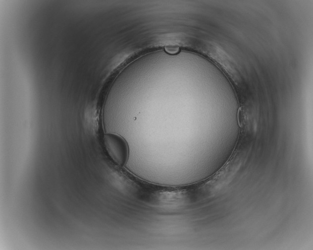 X0000112350160200908271240