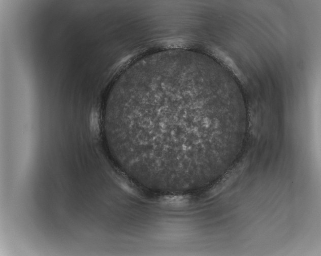 X0000112350161200908271240