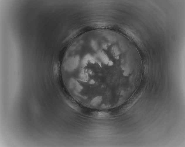 X0000112350165200908271240