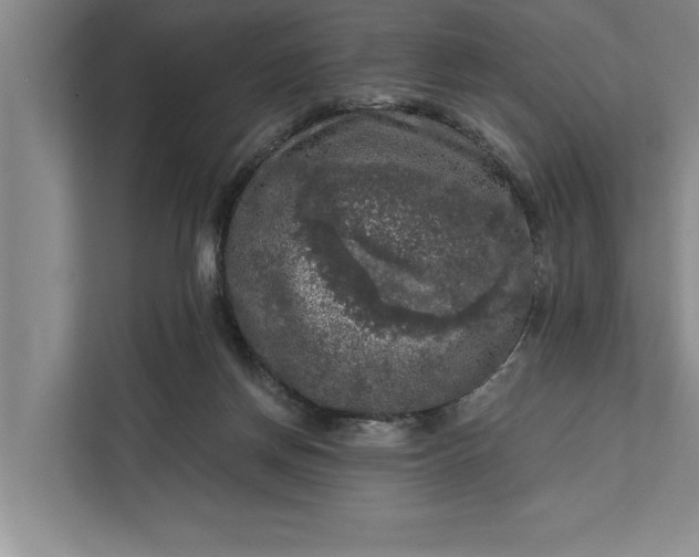 X0000112350166200908271240