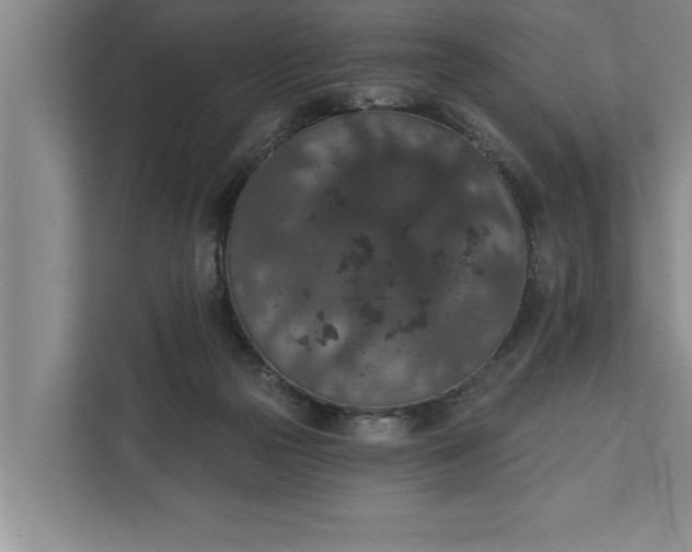 X0000112350169200908271240