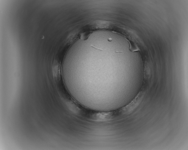 X0000112350172200908271240