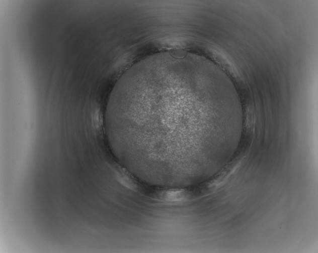 X0000112350173200908271240