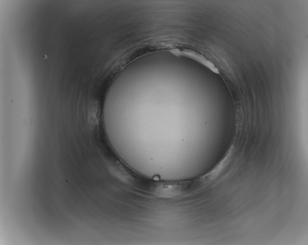 X0000112350174200908271240