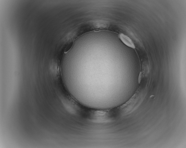 X0000112350176200908271240