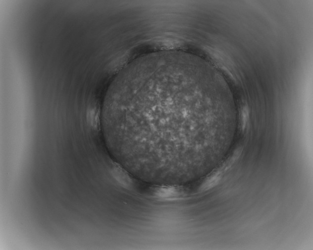 X0000112350177200908271240