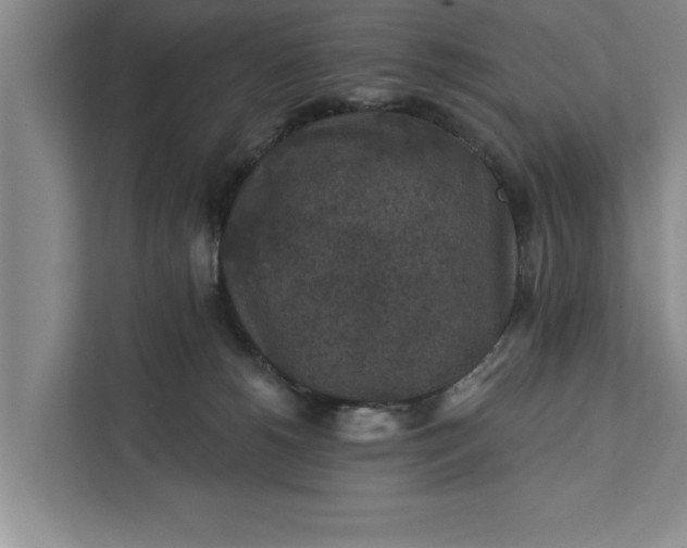 X0000112350180200908271240