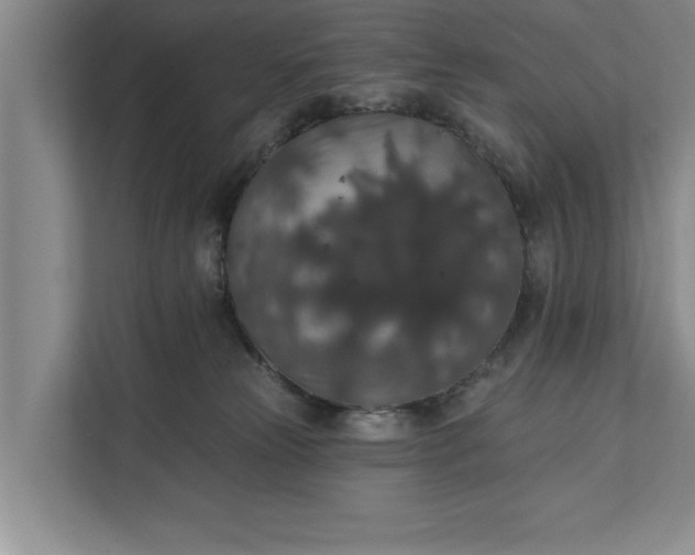 X0000112350181200908271240