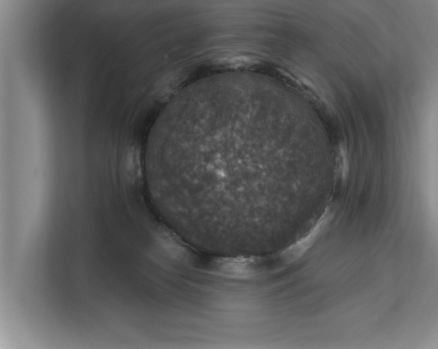 X0000112350182200908271240