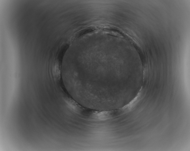 X0000112350186200908271240