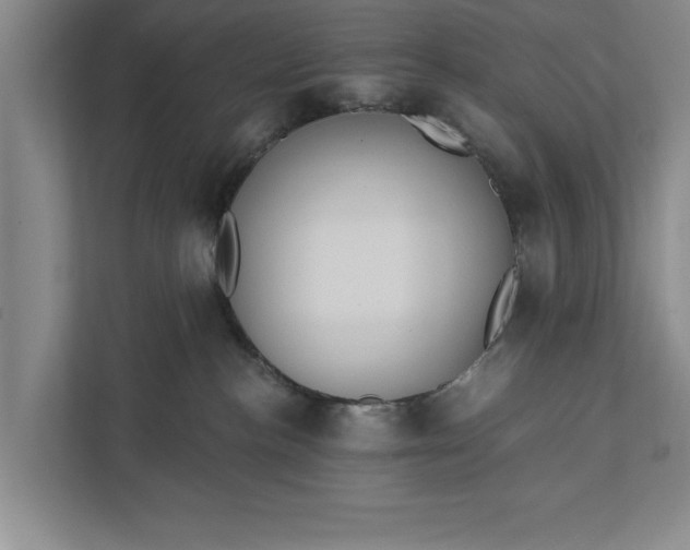 X0000112350188200908271240