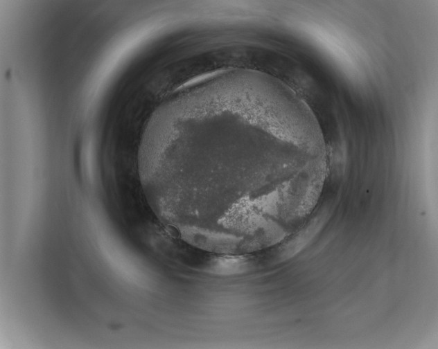 X0000112350189200908271240