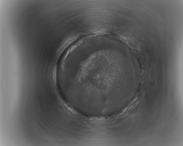 X0000112350194200908271240