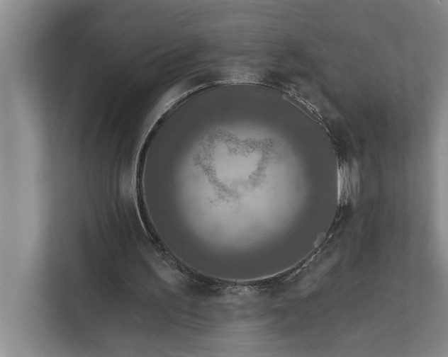 X0000112350195200908271240