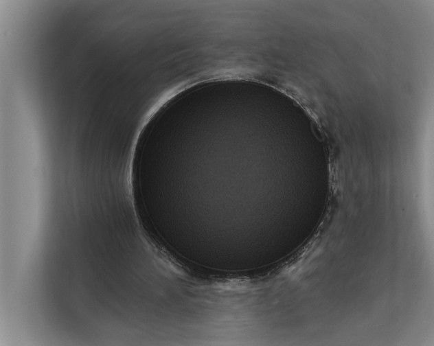 X0000112350196200908271240