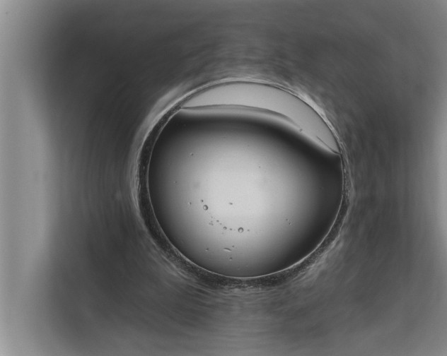 X0000112350199200908271240