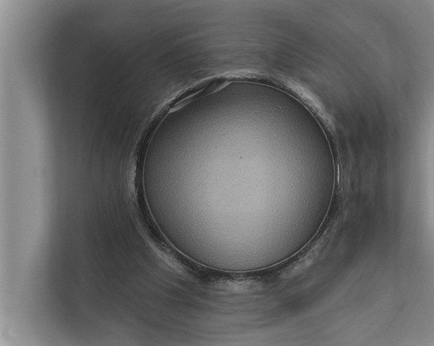 X0000112350201200908271239