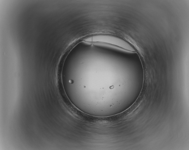 X0000112350203200908271239