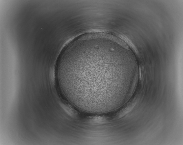 X0000112350204200908271239