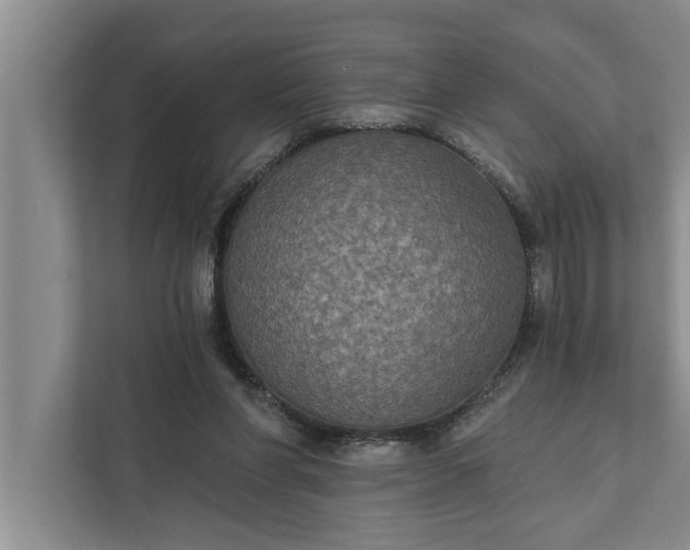 X0000112350206200908271239