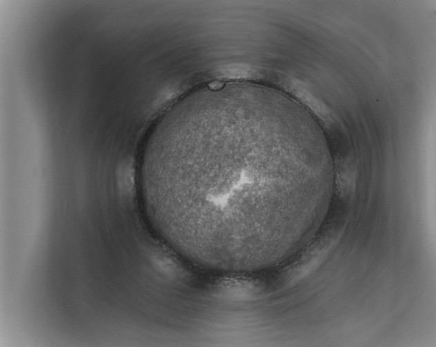 X0000112350207200908271239