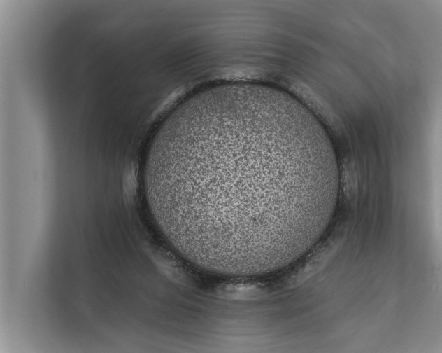 X0000112350208200908271239