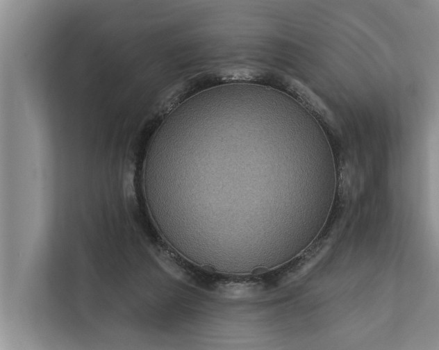 X0000112350209200908271239