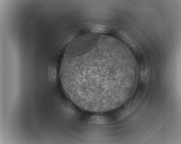 X0000112350211200908271239