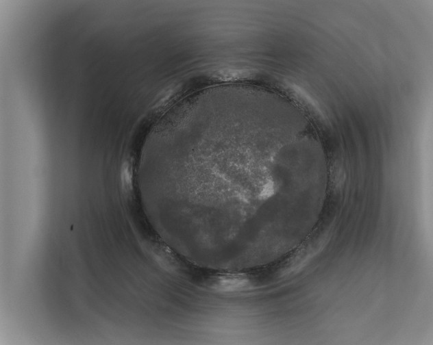 X0000112350214200908271239