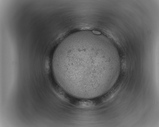 X0000112350215200908271239