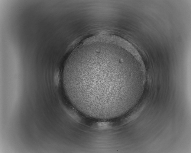 X0000112350216200908271239