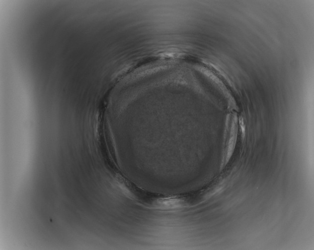 X0000112350219200908271239