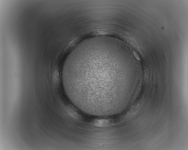 X0000112350220200908271239