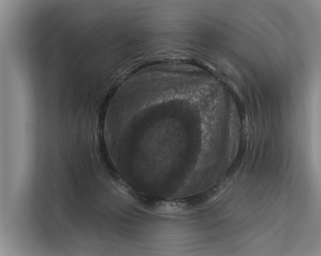 X0000112350223200908271239