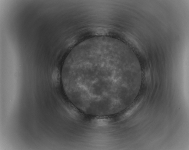 X0000112350228200908271239