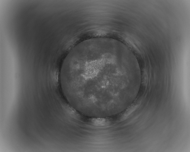 X0000112350230200908271239