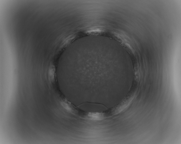 X0000112350231200908271239