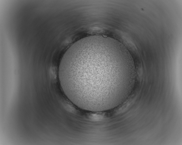 X0000112350232200908271239