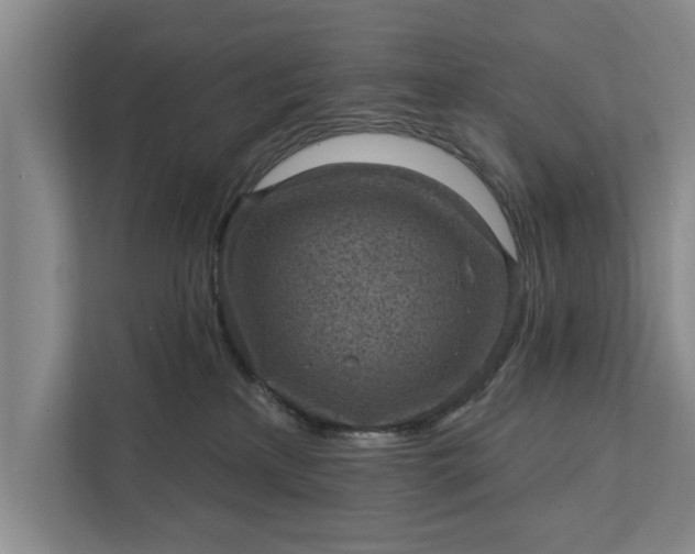 X0000112350233200908271239